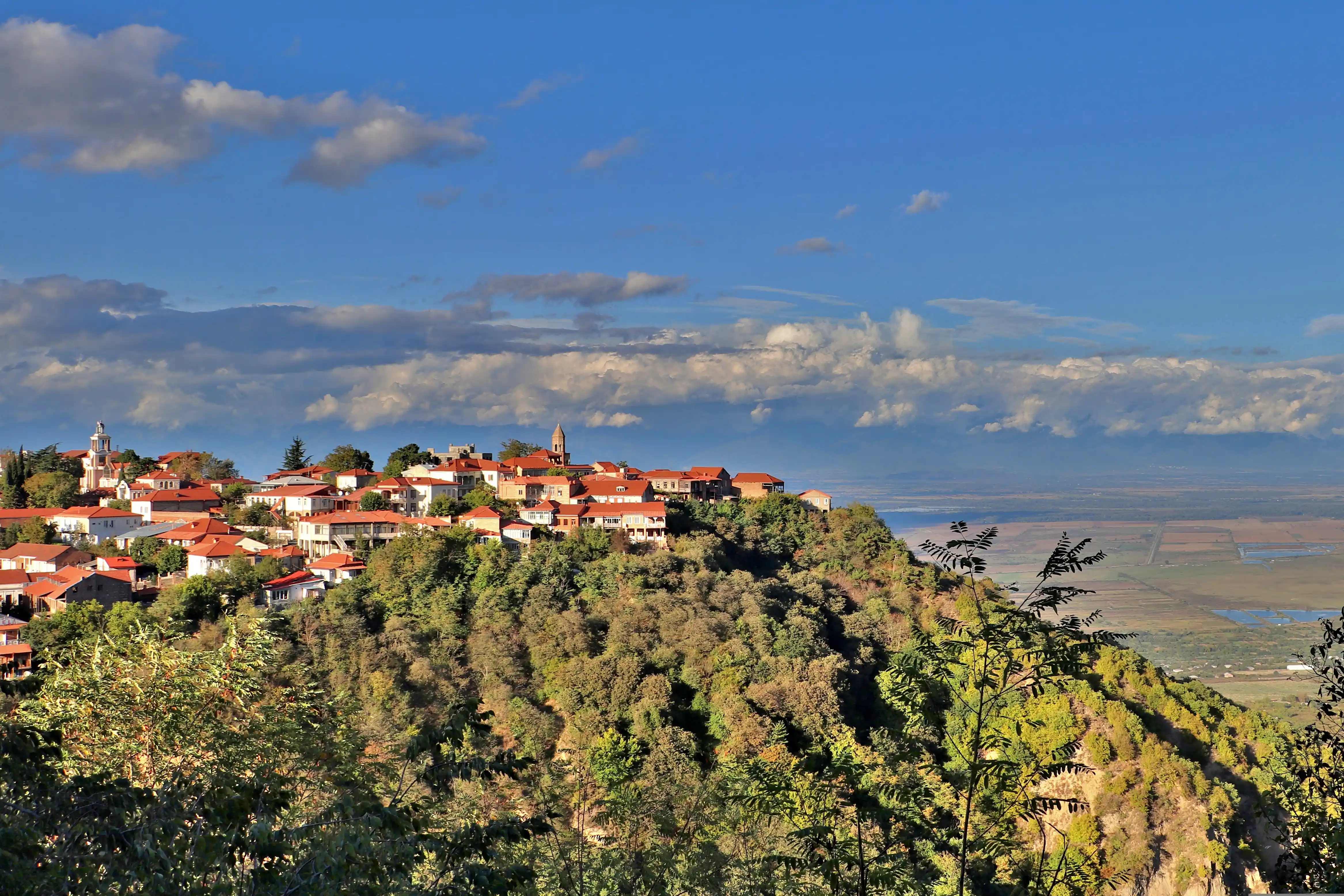 Kakheti Wine Tour